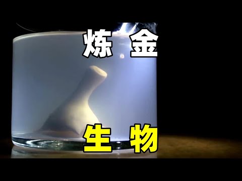 俄罗斯博主，制造“炼金生物”，这是否真实