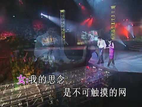 毛宁 & 杨钰莹 - 心雨 (伴唱)