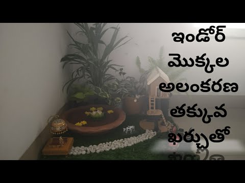 Indoor plants decoration with low investment ఇండోర్ మెుక్కల అలంకరణ తక్కువ ఖర్చుతో/low budget  ideas