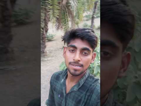 Jangal Me Pahuch Gaye Mangal Karne😂🤪|Mini Vlog|#minivlog