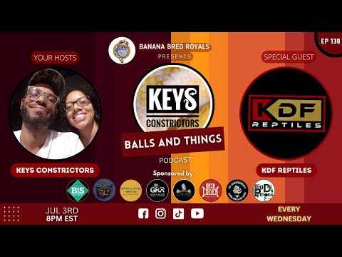 Balls and Things - Ep 138 - KDF Reptiles #BallPythons #reptiles