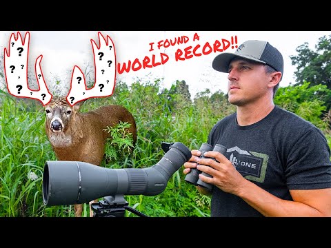 Should We Hunt This Buck??? Summer Scouting Trip (Archery World Record?)