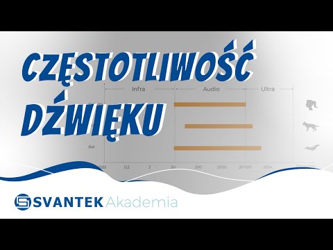 Częstotliwość dźwięku | Czym jest częstotliwość dźwięku? | SVANTEK Akademia