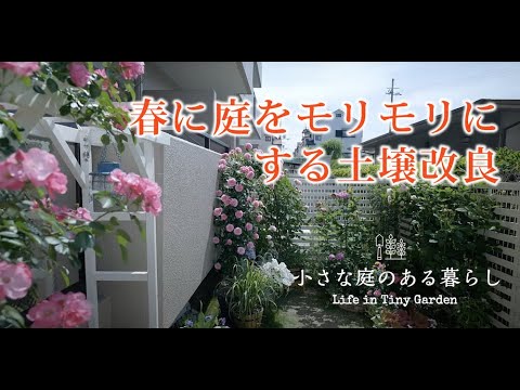 ガーデニング ｜春に向けて、花壇を土壌改良します｜ 〜小さな庭のある暮らし 105〜Gardening ｜ Life in a tiny garden