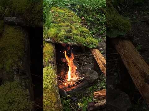 Building Survival Shelter🌲 #bushcraft #survival #outdoors