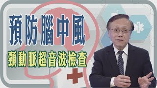 預防腦中風 🚫 頸動脈超音波檢查🩺【大愛醫生館精選】