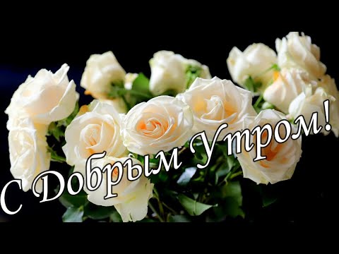 С ДОБРЫМ УТРОМ !🌼Желаю Самого Доброго Солнечного Утра!🌼  Шикарная Песня. 🌼