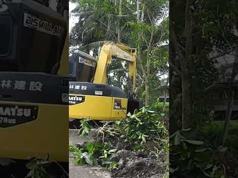 Mini KOmatsu cleaning bush on side of a ditch