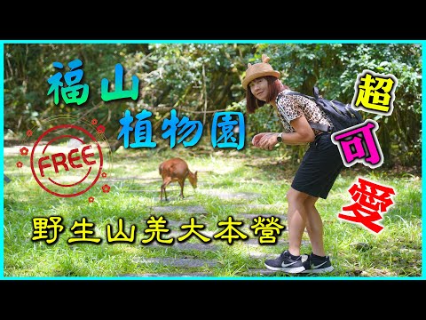 到底藏了多少野生動植物｜遇見山羌｜福山植物園｜4K超清