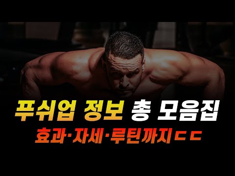 푸쉬업 자세, 방법, 효과 - 논문 72편 9개 영상 압축본 ㄷㄷ