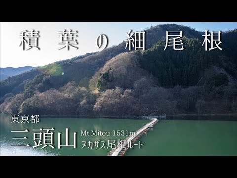 三頭山 -小河内神社より登る 積葉の細尾根-