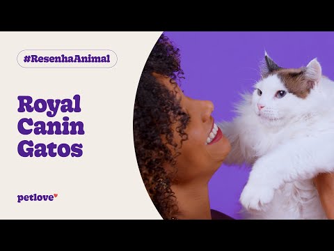 Royal Canin - Lançamentos para Gatos