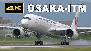 [4K] Big Jets - ANA vs JAL at Osaka Itami Airport 2024 / 787-10, 777-200ER, A350-900 / 伊丹空港