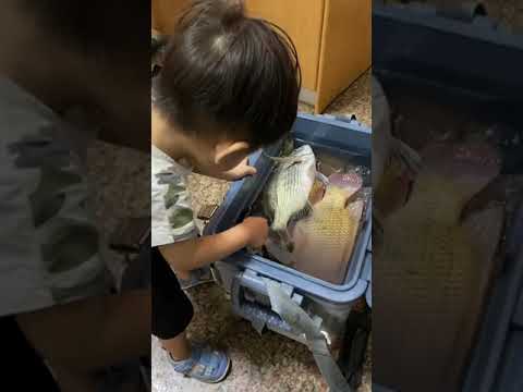 弟弟愛魚魚