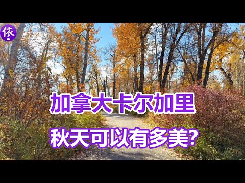 加拿大，卡尔加里的秋天，可以有多美？