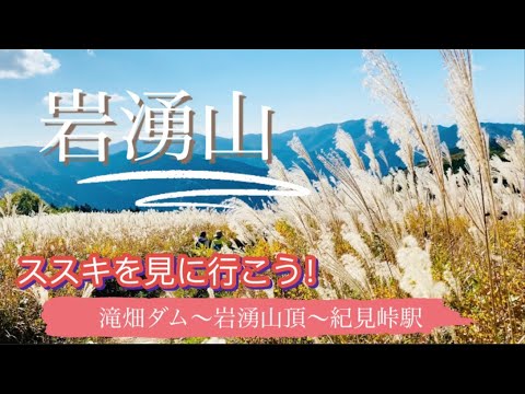 岩湧山へススキを見に行こう🌾✨滝畑ダム〜岩湧山頂〜紀見峠駅