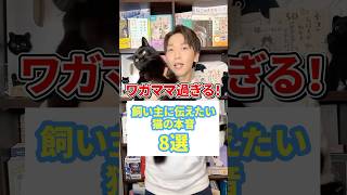 ワガママ過ぎる！飼い主に伝えたい猫の本音８選 #猫 #猫好き #ねこ