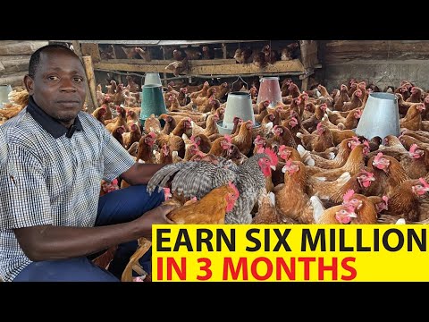 How to EARN millions from poultry keeping in Three months.