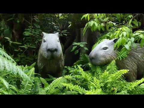 A tour to Gardens By The Bay - Cloud Forest | Singapore