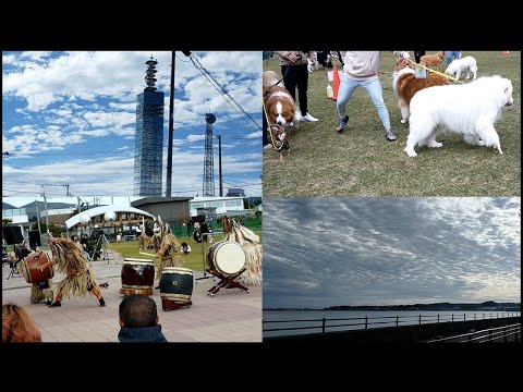 【旅動画】東北ゴリラの縄張り徘徊　県内沿岸施設をめぐるぜよ【秋田市、男鹿】