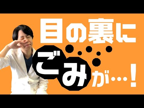 目にゴミが入った！【結膜異物】