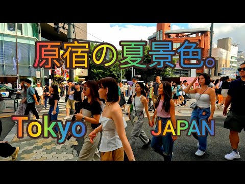 [4K] Summer Walking Tour in Harajuku. Shibuya City, Tokyo, Japan.