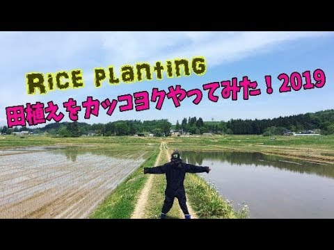 (4K) 田植えをカッコヨクやってみた☆ 2019