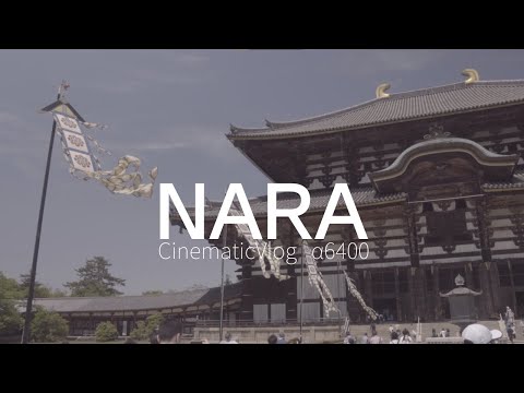 Nara  | Cinematic VLOG  | α6400