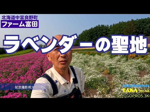 ラベンダーの聖地❢北海道❗中富良野町❗ファーム富田❗１年ぶりにやってきました【北海道観光】【2024夏】