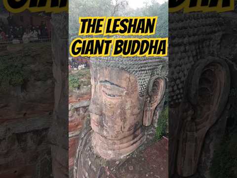 ANCIENT and GIANT Buddha of Leshan! #leshanbuddha #china #chinatravel