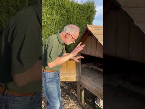 Hey Phill! Can You Over-Clean Your Chicken Coop? #chickens #chickenkeeping