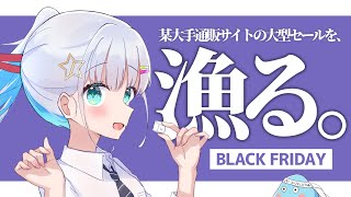 【 ブラックフライデー 】某大手通販サイトで激安アイテムを探すぞ！【 大型セール 】