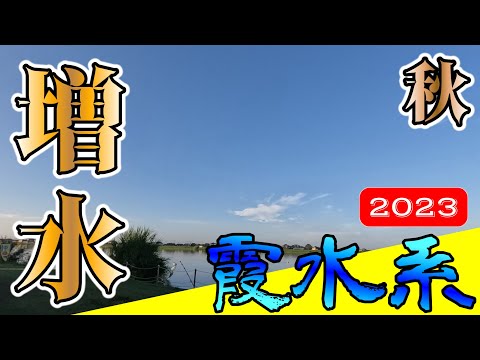 【バス釣り】【霞ヶ浦】秋の増水_北利根川_巻き物