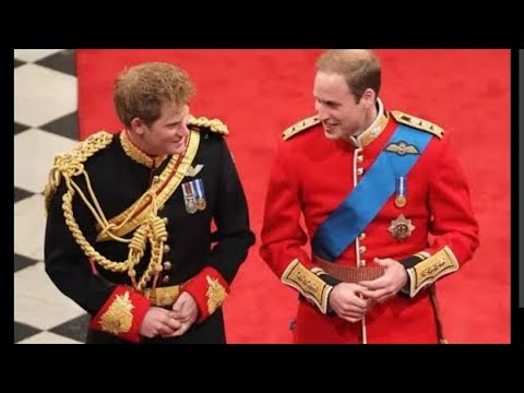 Prince William & Harry Uncanny Similarities & Ide