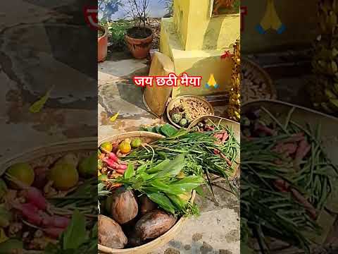 जय छठी मईया 🙏 #chathpuja #chathpoojageet #ytshorts #shortsviral #shorts #shardasinha #trending #reel