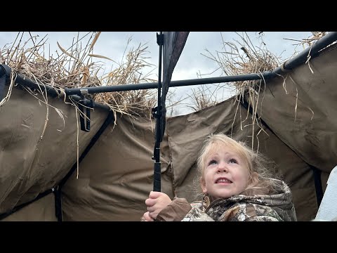 Favorites from the 2022 waterfowl season! #season #ducks #singersongwriter #music #labrador