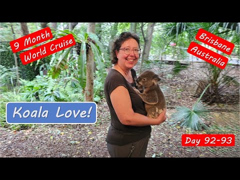 Brisbane Australia Lone Pine Koala Sanctuary Tour 2024.  Holding a Koala!