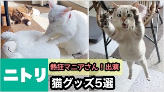 【ニトリ】猫グッズ5選『熱狂マニアさん！』出演｜ペットグッズマニア厳選！猫大満足のアイテムはコレ！