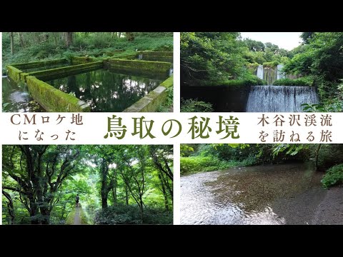 【サントリーCMロケ地】宇多田ヒカルさんも訪れた木谷沢渓流で過ごす癒しの時間｜足立美術館で「日本一の庭園」を堪能｜人気店MR. BURGERの絶品バーガー