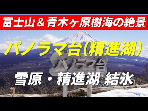 【精進湖 パノラマ台】雪原・精進湖の結氷と逆さ富士 富士山の日に穴場的絶景スポットに行ってみた 2022年2月23日 富士五湖ドライブ スノーハイク 4K映像