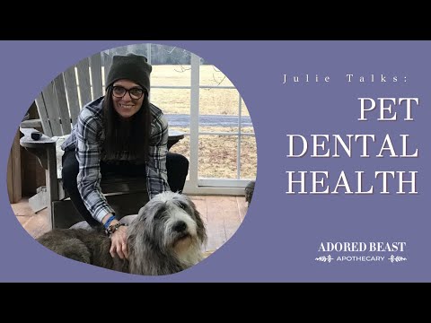 Pet Dental Health