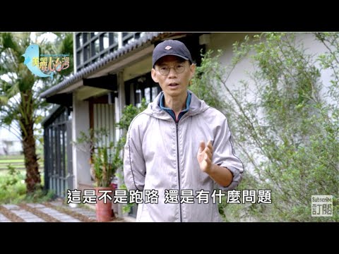 【宜蘭員山鄉】賴青松的農村魔幻旅程｜有機無毒｜374｜#美麗心台灣