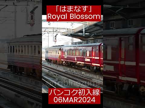 タイ：元JR「はまなす」がロイヤルブロッサム号として復活し試運転でバンコクに初入線。高架線を走る様子 Hamanasu 24-03-06 #Shorts #はまなす