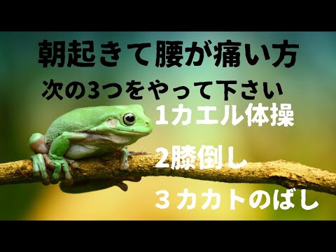 腰痛治し方、腰痛体操、朝から腰痛治し方