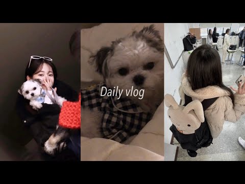 vlog. 겨울이 왔나봐요 | 마라탕 | 먼지랑 고깃집 ! | 코튼 캔디볼