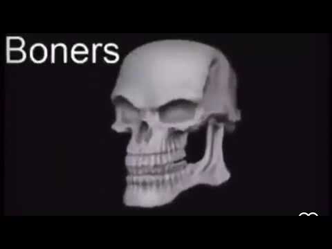 bones