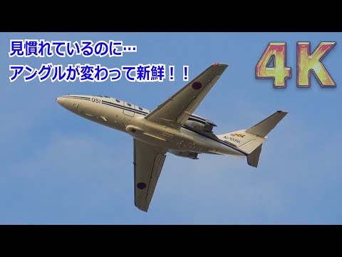 【4K】普段とアングルが変わって凄く新鮮！！浜松基地へ帰投するT-400練習機  2024/11/17【岐阜基地航空祭2024】