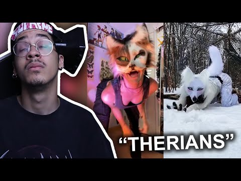 These People Actually Think They Are Animals lol. (Therians)