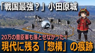 本当に小田原城は「戦国最強の城？」豊臣20万の包囲に耐えた総構の跡を訪ねる