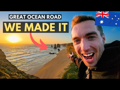 Amazing Encounter On The Great Ocean Road! First Koala Sighting And 12 Apostles (Part 3) Australia🇦🇺